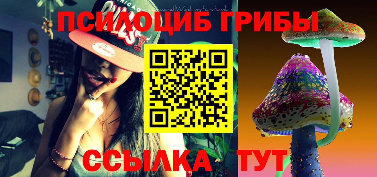 Галлюциногенные грибы Cubensis Благодарный