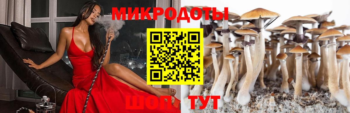 Благодарный  Галлюциногенные грибы прущие грибы  Вход с VPN 
